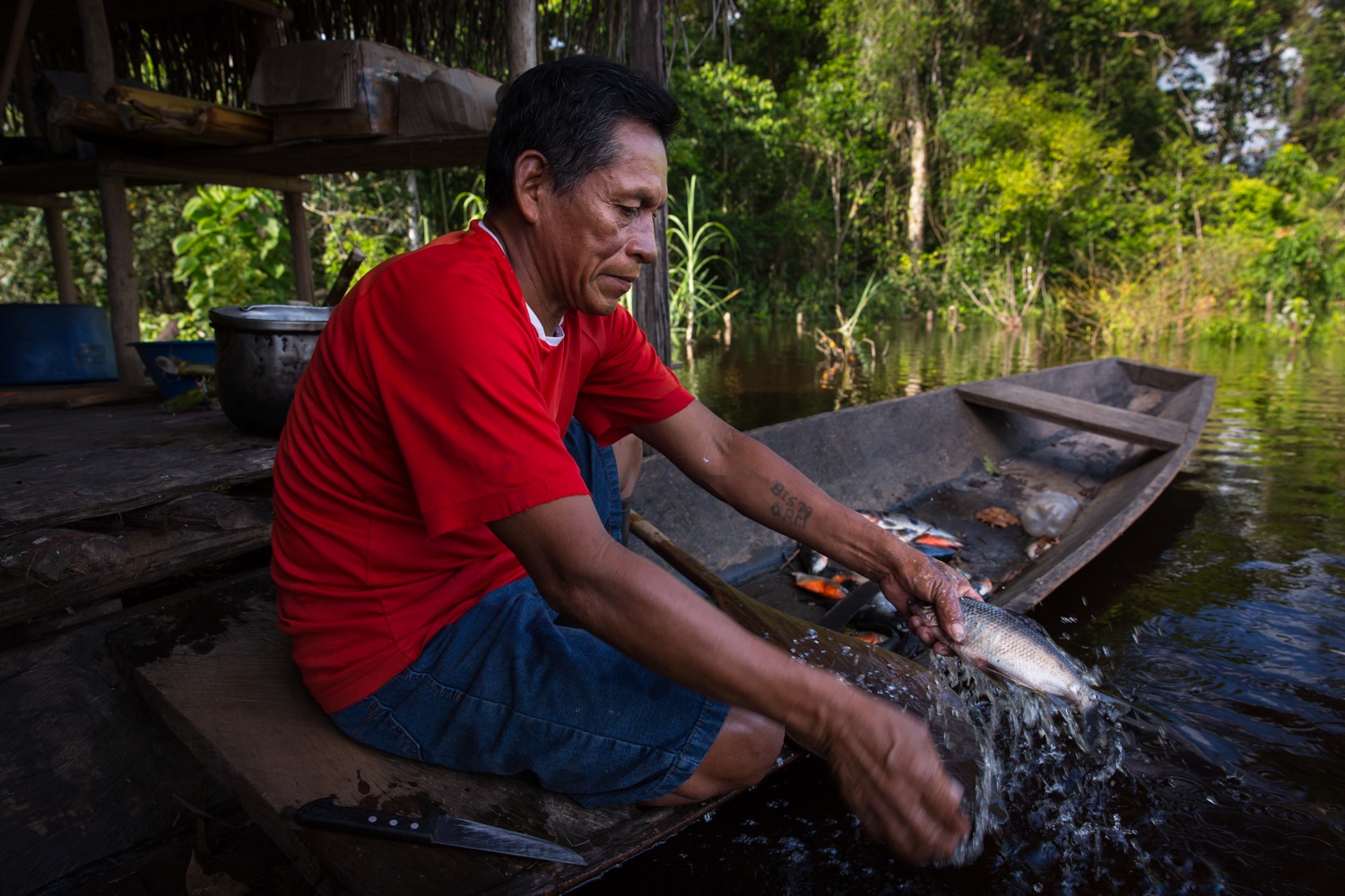Especialistas Destacan La Importancia De La Pesca Artesanal Amazónica En La Seguridad 2609
